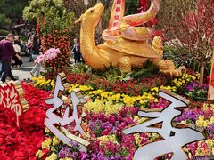 -越秀西湖花市(广州城市广场花卉店)