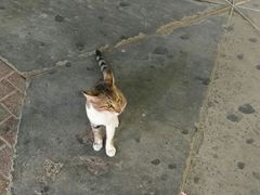 -迪拜黄金市场