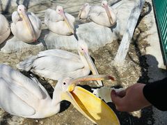 -水上乐园·欢乐世界