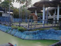 -清迈夜间动物园