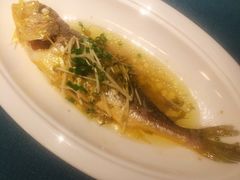 -三利音·玖弄小鲜(浦东嘉里城店)