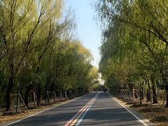 -同里国家湿地公园