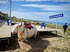 -青海湖国家重点风景名胜区