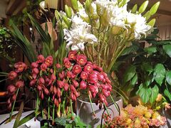 -春暖花开(西溪店)
