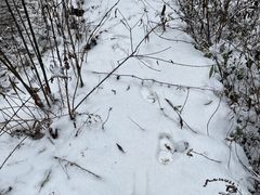 -九峰山