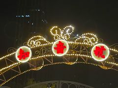 -武汉知音号