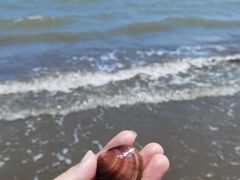 -启东黄金海滩景区