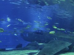 -福州罗源湾海洋世界旅游区