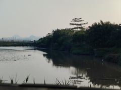 -福田红树林生态公园