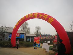 -秀丽东方