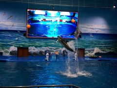 -多彩贵州城极地海洋世界