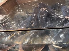 -上名堂·鱼头好吃(体育场路店)