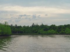 -东寨港红树林旅游区