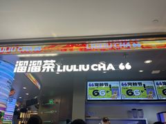 -TD66高山铁皮石斛养生茶饮