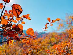 -周口店坡峰岭风景区