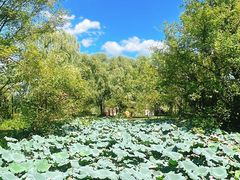 -西溪国家湿地公园