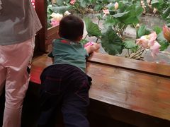 -高淳老街土菜馆(迎薰门店)