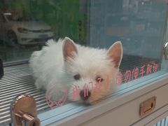-FAELING PETS美天灵宠物(合生汇店)