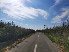 -盐城丹顶鹤湿地生态旅游区
