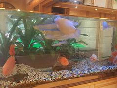 -渔民新村(番禺总店)