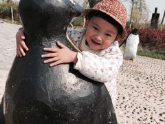 -临沂动植物园