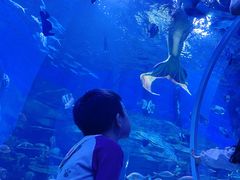 -顺德南宏海立方海洋公园