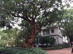 -九龙公园
