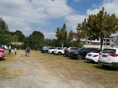 -野生动物园-停车场