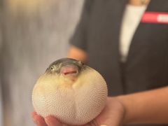 -永安鱼庄·镇江菜(东吴路店)