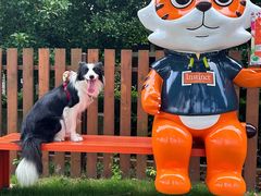 -太阳岛度假酒店