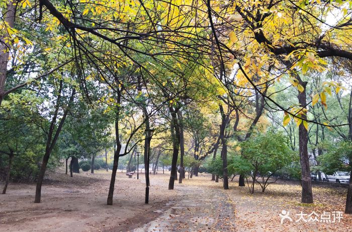 涌溪公园图片 - 第3张