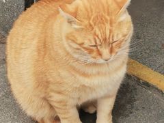 -李先生的首尔小馆(松江启源广场店)