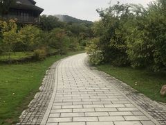 -杭州植物园