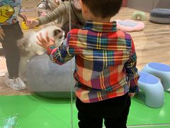 -TOYSRUS玩具反斗城(上海万象城店)