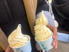 冰激凌-龍歌自助小火锅(秦淮水游城店)