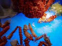 -广州花园酒店-凌璇阁360度高空海鲜自助餐CAROUSEL