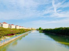 -高东镇樱花园