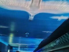 -白鹤梁水下博物馆