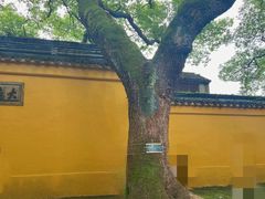 -西园戒幢律寺