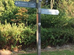 -东华大学(松江校区)