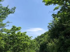 -雾灵西峰