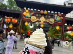 -泸溪河桃酥(秦淮夫子庙一店)