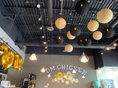 -DM CHICKEN 分米鸡