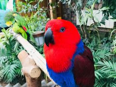 -南宫五洲植物乐园