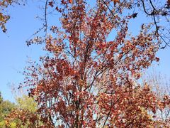 -香山公园-东宫门售票处