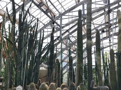 -南山植物园