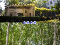 -洪家楼教堂