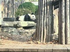 -大连森林动物园