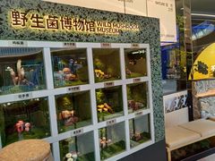 -芸山季·云南山珍菌火锅(南翔印象城MEGA店)