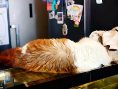 -咖法森林·咖啡  酒吧(天河店)